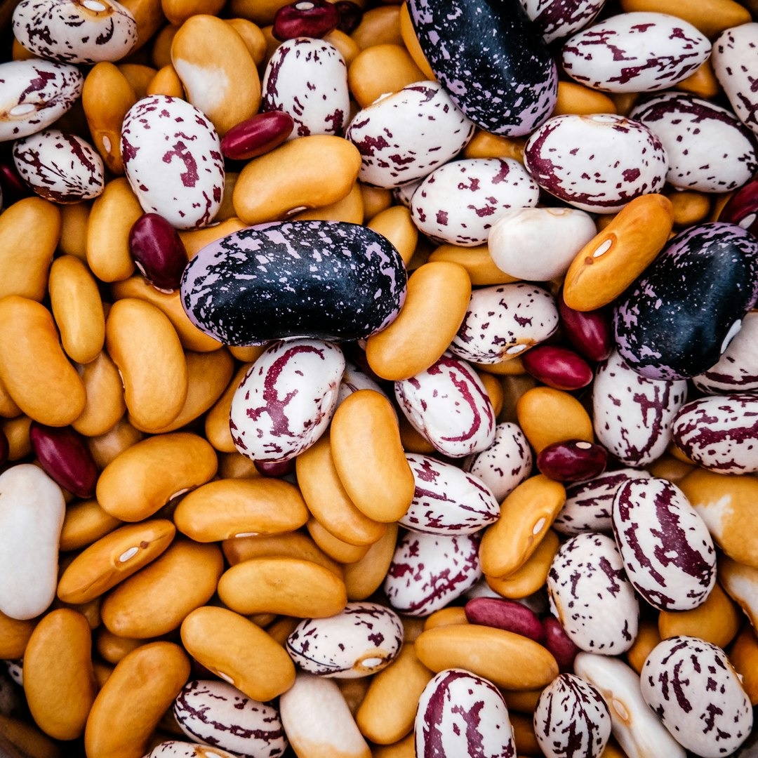 A colorful mix of raw, dried beans including kidney and speckled varieties.
